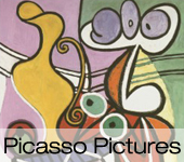 Picasso Picture Show